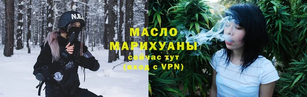 МДПВ Бородино