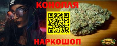 крисы Абакан
