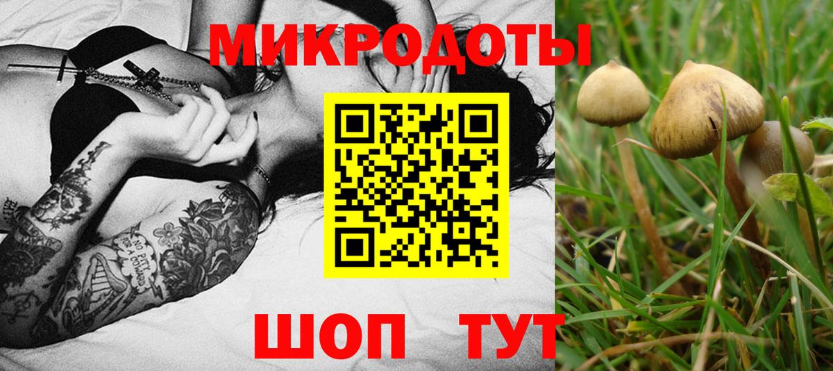 Псилоцибиновые грибы Psilocybe  Галлюциногенные грибы ЛСД  Вход с VPN  Казань 