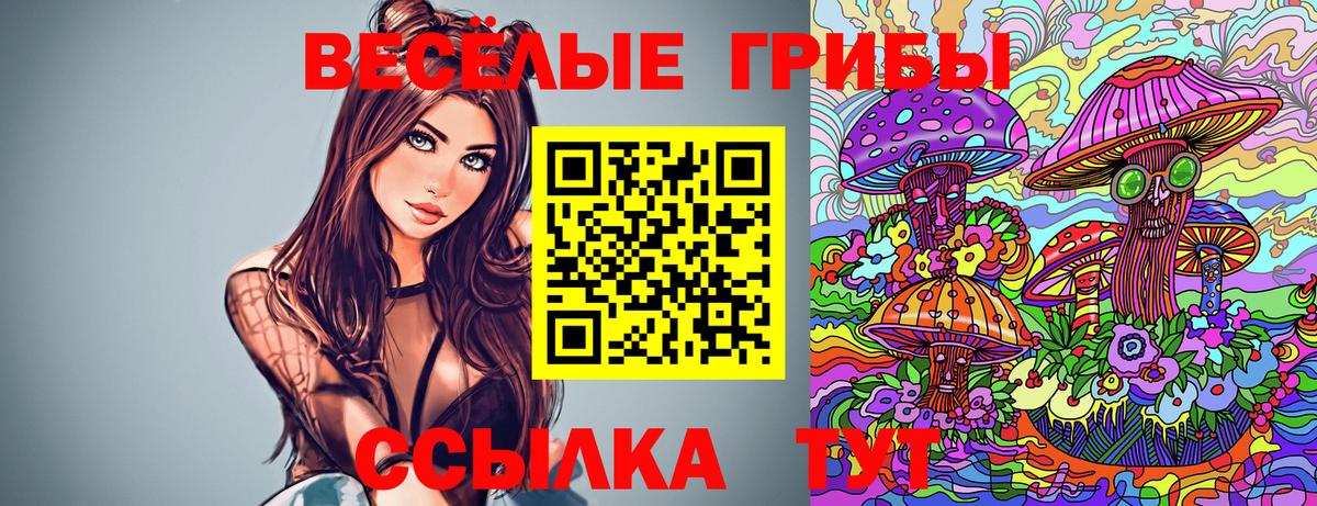 Псилоцибиновые грибы мицелий Казань